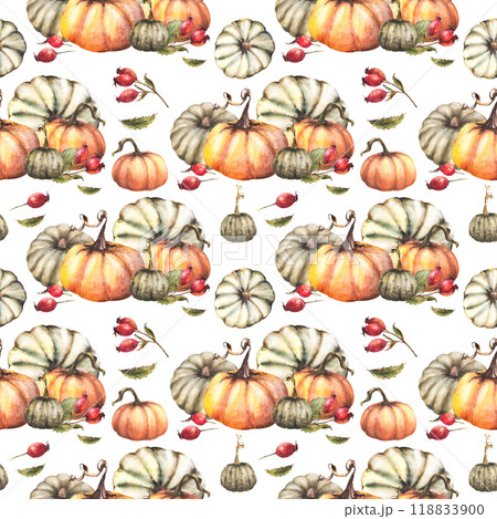 Watercolor pumpkins with wild rosehip berry, briar fruits, dog rose seamless pattern Autumn harvest illustration. Hand drawn Thanksgiving Day fabric packaging, wallpaper Isolated on white background.  118833900