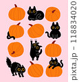 Set cute hand drawn cat and pumpkin. Collection kitten with pumkin isolated elements. Funny pets. Happy Halloween vector Illustration. 118834020