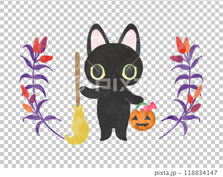 ホウキとカボチャのランタンを持つ絵本風のかわいい黒猫 118834147