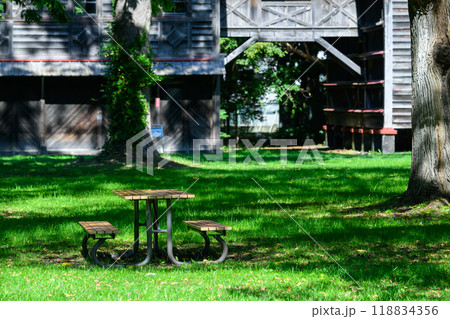 初秋の一日（北大第2農場）_1316 118834356