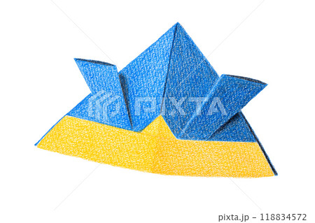 色鉛筆で描いたカブト 118834572