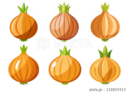 Cartoon Onion in kids drawing style, flat design simple shapes, isolated on white background Cartoon Onion in kids drawing style, flat design simple shapes, isolated on white background 118835413