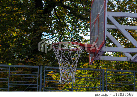 Basketball Hoop in Nature Basketball Hoop in Nature 118835569