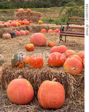 Rustic Farm with Pumpkins and Hay Bales Rustic Farm with Pumpkins and Hay Bales 118835588
