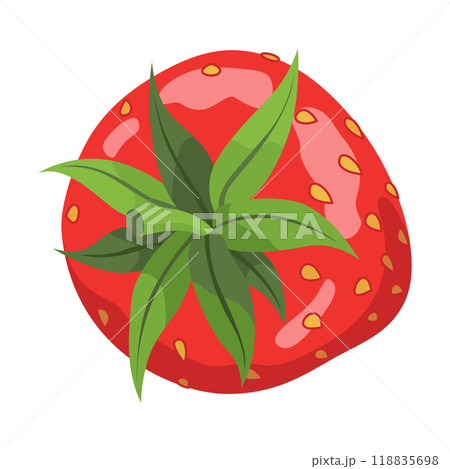 Fresh and Delicious Strawberry for Your Culinary Creations Fresh and Delicious Strawberry for Your Culinary Creations 118835698