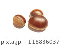 栗 118836037