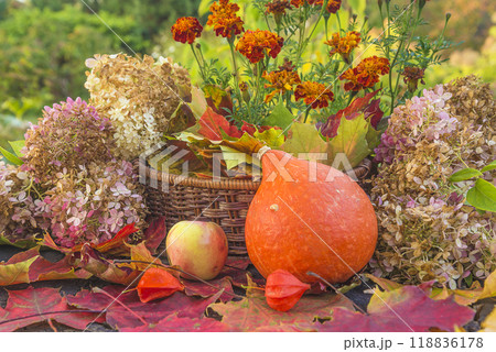 Autumn still life; ornage pumpkin, apple, flowers and red maple leaves arrangement 118836178