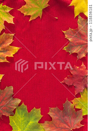 Frame of multicolored maple leaves on red knited background; copy space; Greeting card template 118836181
