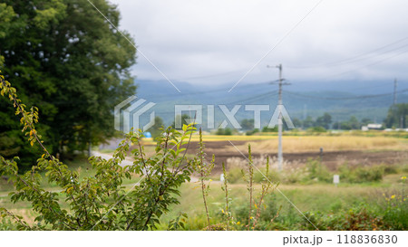 農道のある風景 118836830