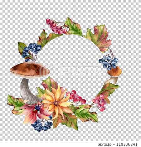 Forest circle frame with yellow flowers and maple red leaves, berries in watercolor isolated. Autumn wreath with ceps, black chokeberry and wild flora hand drawn. Fall floral foliage botanical sketch. Forest circle frame with yellow flowers and maple red leaves, berries in watercolor isolated. Autumn wreath with ceps, black chokeberry and wild flora hand drawn. Fall floral foliage botanical sketch. 118836841