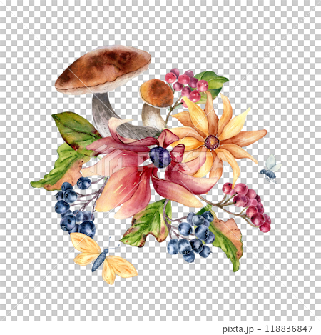 Autumn flowers rudbeckia with viburnum berries, rowan and aspen mushrooms watercolor composition isolated. Woodland plants colorful fall arrangement hand drawn in botanical sketch for nature design. Autumn flowers rudbeckia with viburnum berries, rowan and aspen mushrooms watercolor composition isolated. Woodland plants colorful fall arrangement hand drawn in botanical sketch for nature design. 118836847