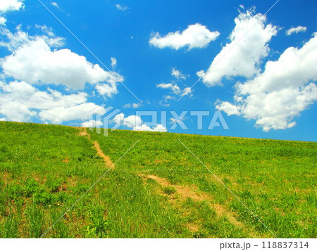 自然にできた小道のある初夏の江戸川土手風景 自然にできた小道のある初夏の江戸川土手風景 118837314