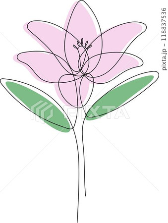 Lily  drawn by one line 118837536