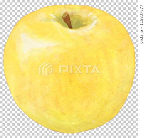 One realistic yellow apple 118837577