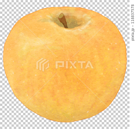 一隻現實梨的插圖（Kosui） 118837578