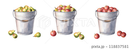 Set of metal garden buckets filled with fresh juicy apples and pears. Hand drawn botanical composition. Watercolor illustration isolated on white. For clip art cards menu label package 118837581