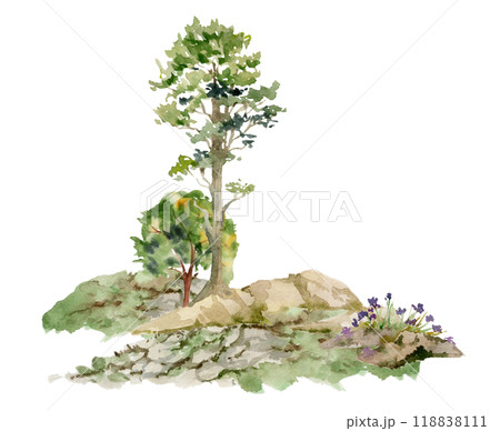 Scenery landscape of forest meadow grassland with bushes flowers, pine fir spruce tree on alpine rocks, hand drawn in watercolor. Illustration for hiking camping sites vacation, tourism, resort ads. 118838111