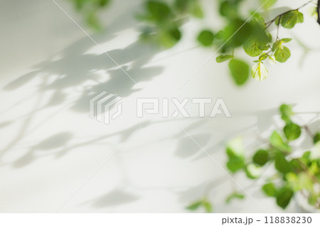 観葉植物のあるインテリア 118838230