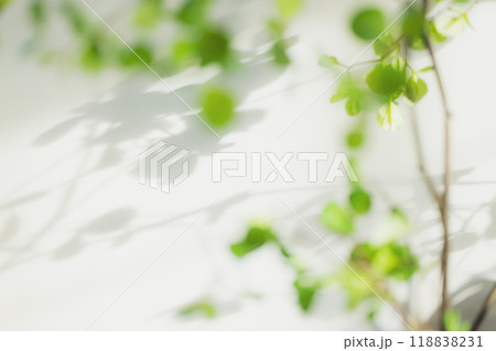 観葉植物のあるインテリア 118838231