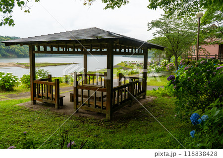 大隅湖のあじさいの風景(鹿屋市) 大隅湖のあじさいの風景(鹿屋市) 118838428