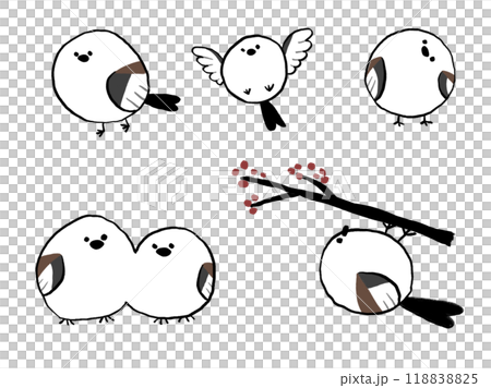 丸すぎるシマエナガ 118838825