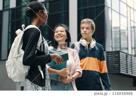 Classmates Having Meeting In The City Classmates Having Meeting In The City 118838988
