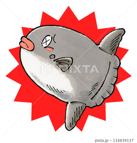 やられたマンボウ 118839137