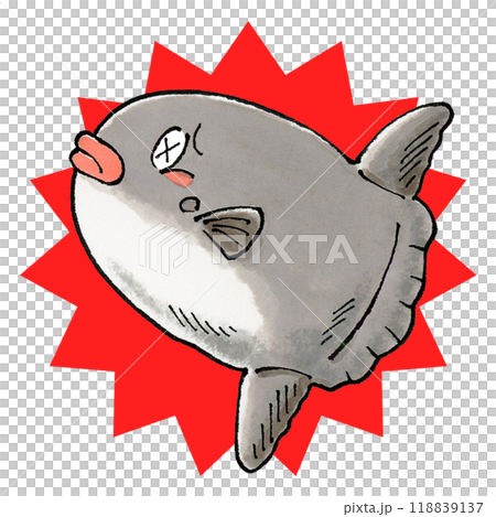 受損翻車魚 118839137