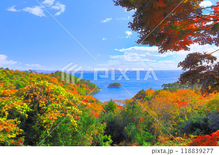 紅葉の扇谷展望台から眺望する青空と松島湾 118839277