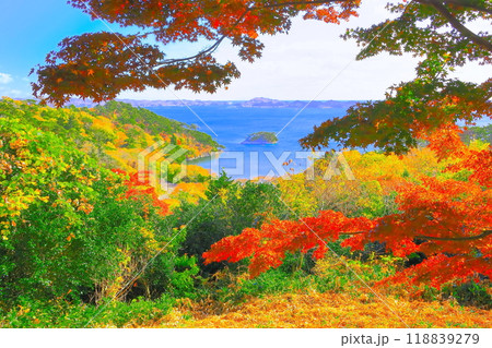 紅葉の扇谷展望台から眺望する青空と松島湾 118839279