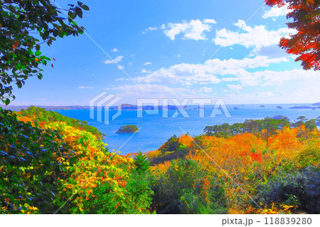 紅葉の扇谷展望台から眺望する青空と松島湾 紅葉の扇谷展望台から眺望する青空と松島湾 118839280