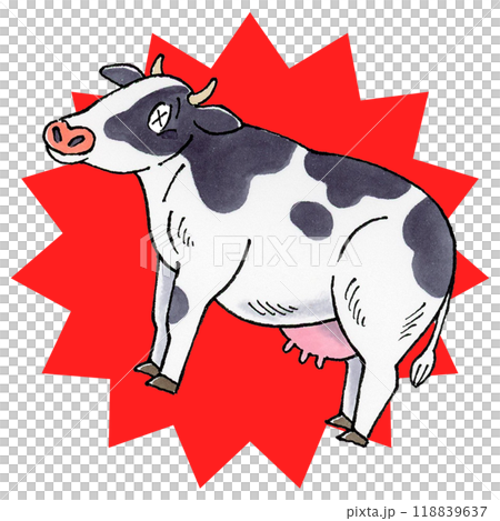 Damaged dairy cow 118839637