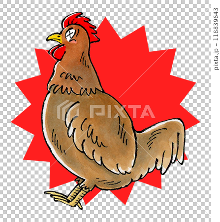 Broken Brown Chicken Broken Brown Chicken 118839643
