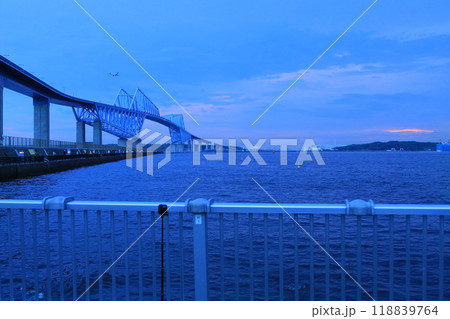 東京ゲートブリッジ(若洲公園) 東京ゲートブリッジ(若洲公園) 118839764