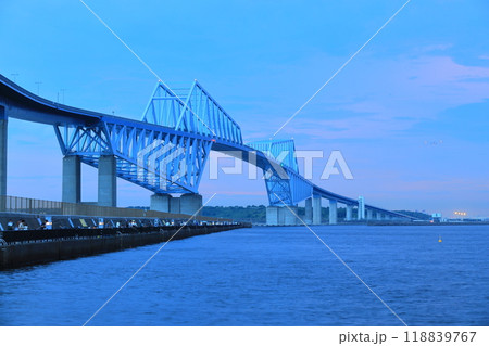 東京ゲートブリッジ(若洲公園) 東京ゲートブリッジ(若洲公園) 118839767