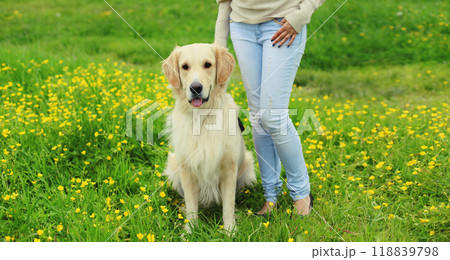 Golden Retriever dog obedient sitting at the feet of owner in summer park 118839798