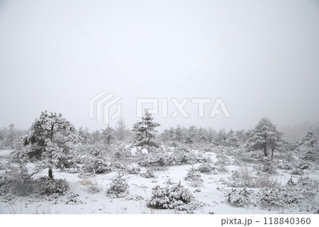 雪景色 雪景色 118840360