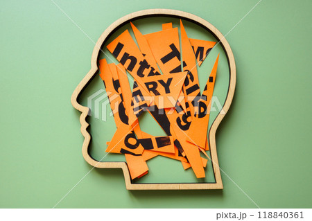 Outline of a head and cut-up notes. Fragmented thoughts and mental overload. 118840361