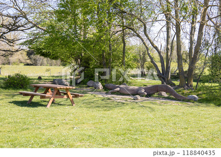 Summer park for outdoor activities with a bench and a large wooden crocodile. Summer park for outdoor activities with a bench and a large wooden crocodile. 118840435