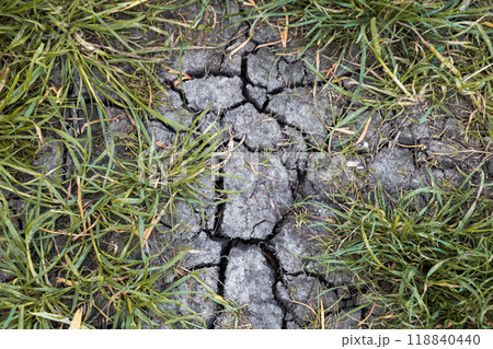 Summer without rain. Cracked earth from drought and som green grass. Summer without rain. Cracked earth from drought and som green grass. 118840440
