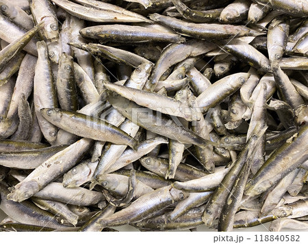 Lots of freshly frozen sprats top view. Lots of freshly frozen sprats top view. 118840582