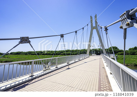埼玉県立権現堂公園 埼玉県立権現堂公園 118841039