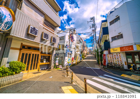 日本の東京都市景観　東京都渋谷区の代々木上原駅前などを望む 118841091
