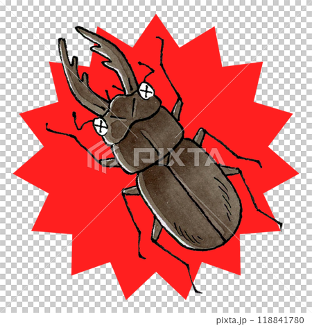 やられたクワガタムシのイラスト素材 [118841780] - PIXTA