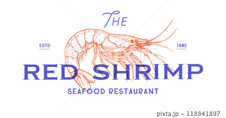 Shrimp, seafood, sketch. Vintage retro print, seafood shrimp prawn sketch, sea life, ink pencil style drawing, engrave old school sketch, hand drawn. Sketch artwork shrimp. Vector Illustration 118841897