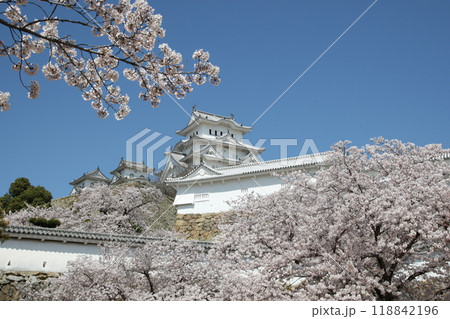 桜満開の姫路城 118842196