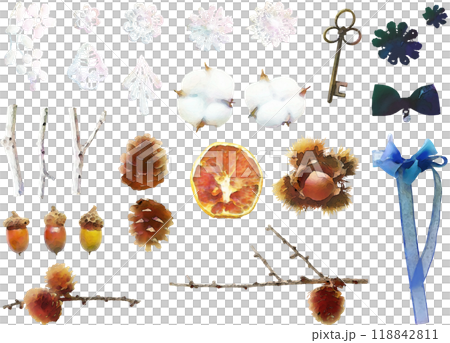 乾燥花插畫素材套裝6(蕾絲、緞帶等) 乾燥花插畫素材套裝6(蕾絲、緞帶等) 118842811
