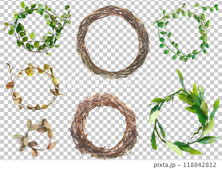 乾燥花插畫素材套裝7（租借） 118842812