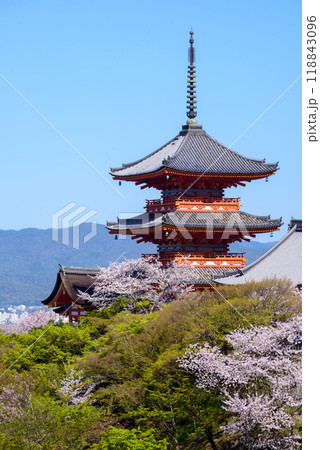 京都の桜のある風景 清水寺 京都の桜のある風景 清水寺 118843096