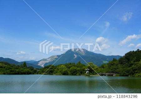 三島池から見た伊吹山 三島池から見た伊吹山 118843296